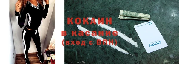 индика Лиски
