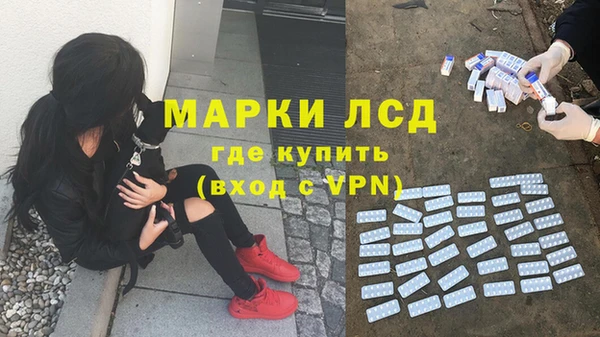 индика Лиски