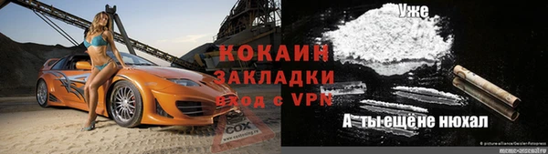 индика Лиски