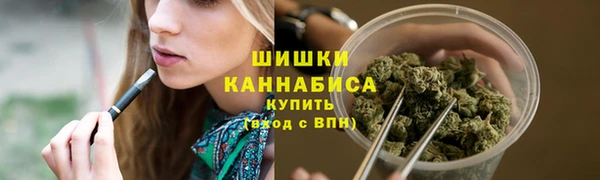 индика Лиски