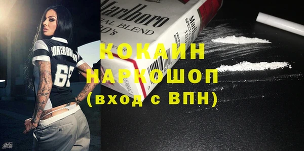 индика Лиски