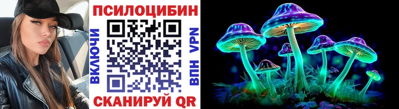 ссылка на мегу зеркало  Апатиты  Псилоцибиновые грибы Cubensis  где купить наркоту 