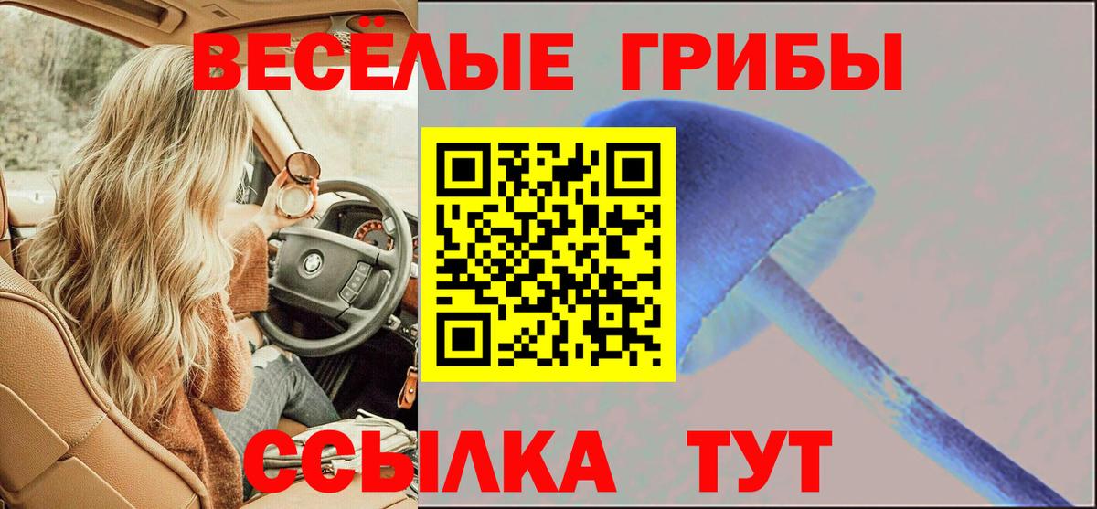 Псилоцибиновые грибы ЛСД Апатиты