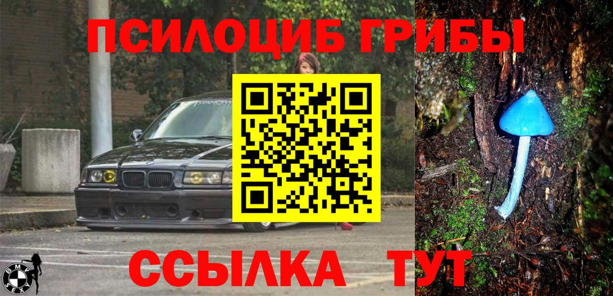Апатиты  Галлюциногенные грибы Magic Shrooms  Вход с VPN 