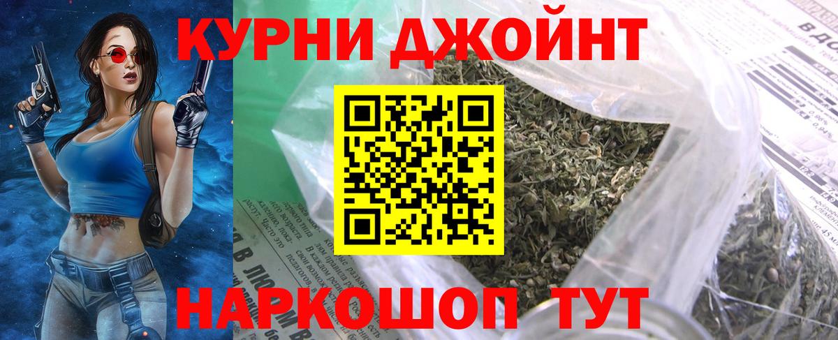 Конопля гибрид Апатиты